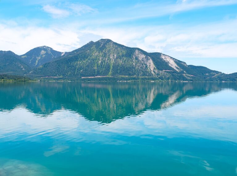 Vielseitigkeit der Natur Walchensee